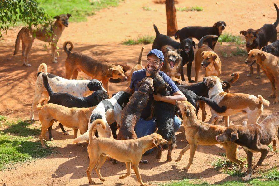 Protetor dos animais conta com a solidariedade para conseguir um novo imóvel