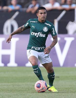 Dudu é o maior artilheiro do Palmeiras neste século