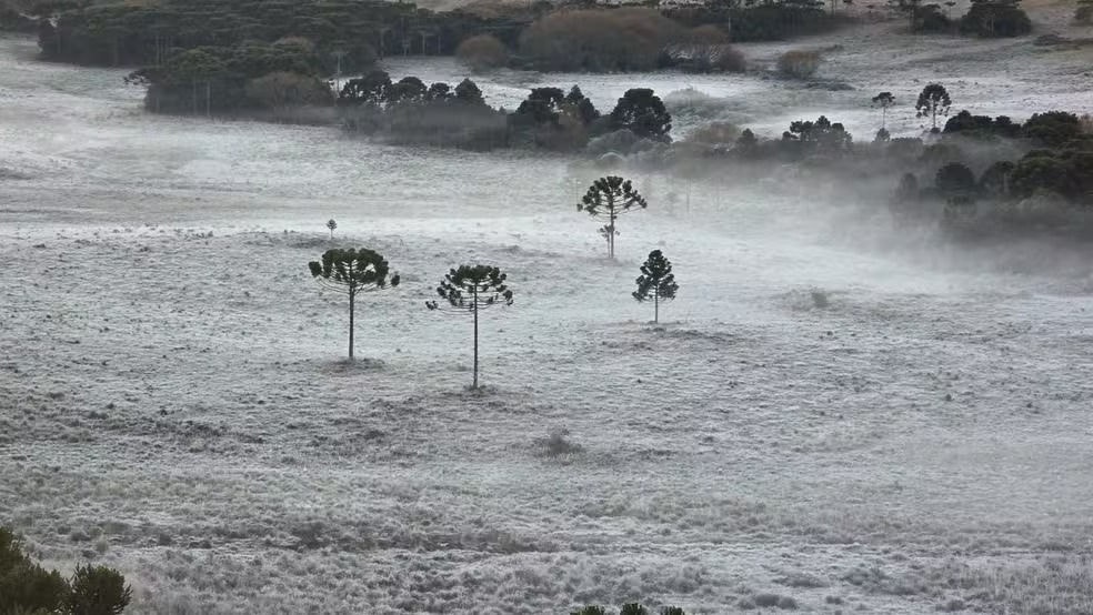 São Joaquim, na serra catarinense, registra sensação térmica de -19°C neste domingo (30)