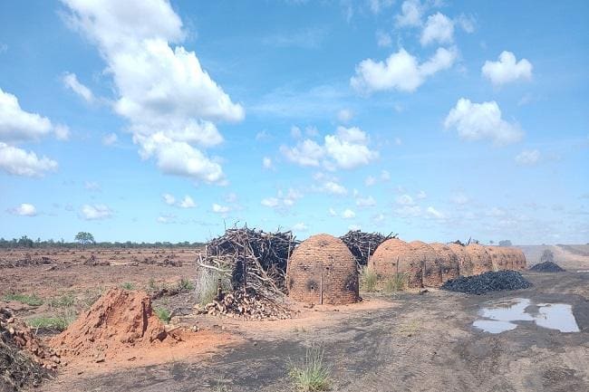 Desmatamento no Norte de Minas