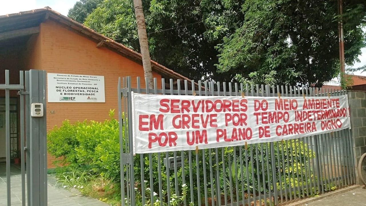 Greve Meio Ambiente