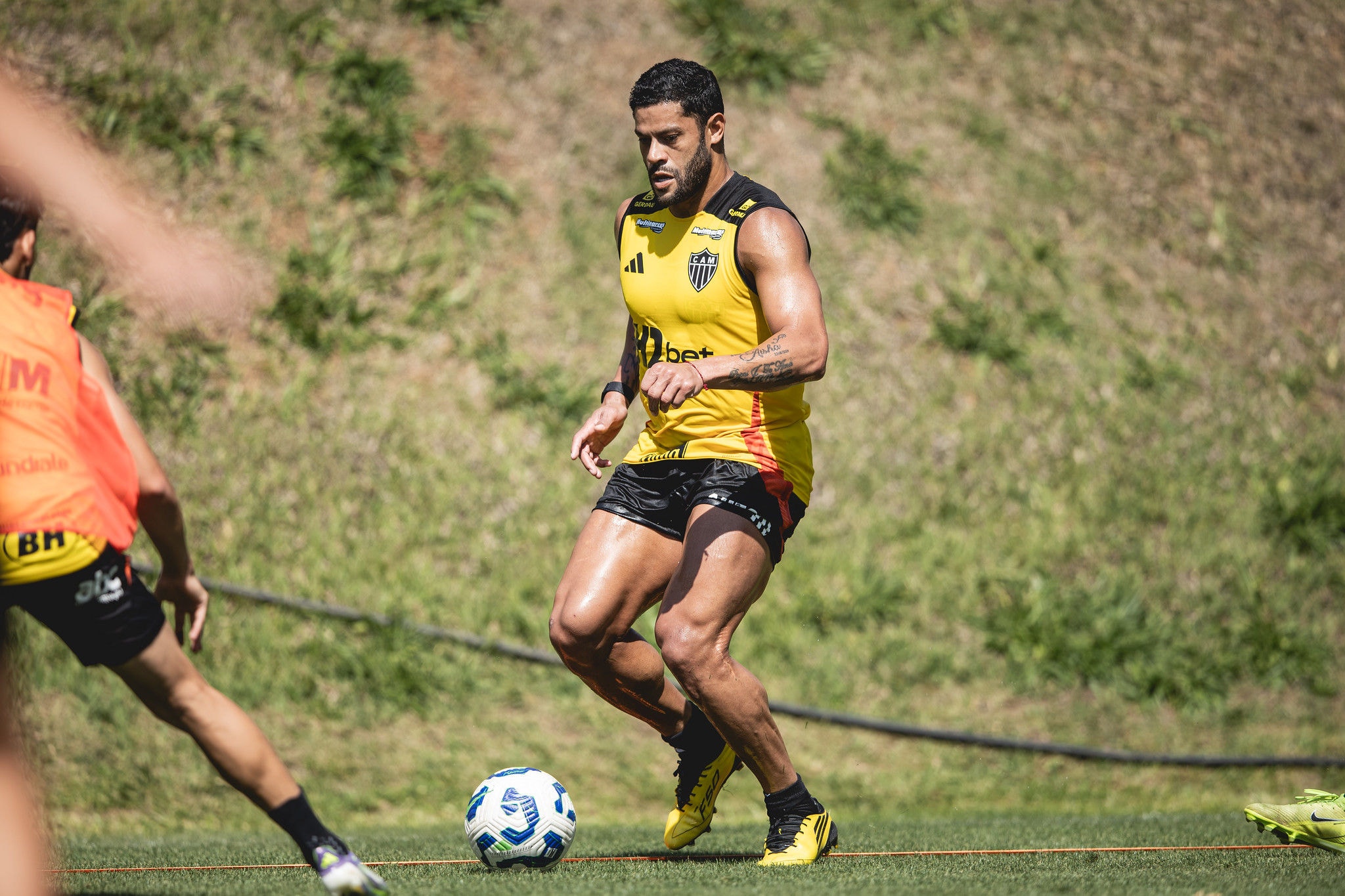Hulk é um dos poupados para o jogo contra o Vasco, neste domingo (10), no Rio