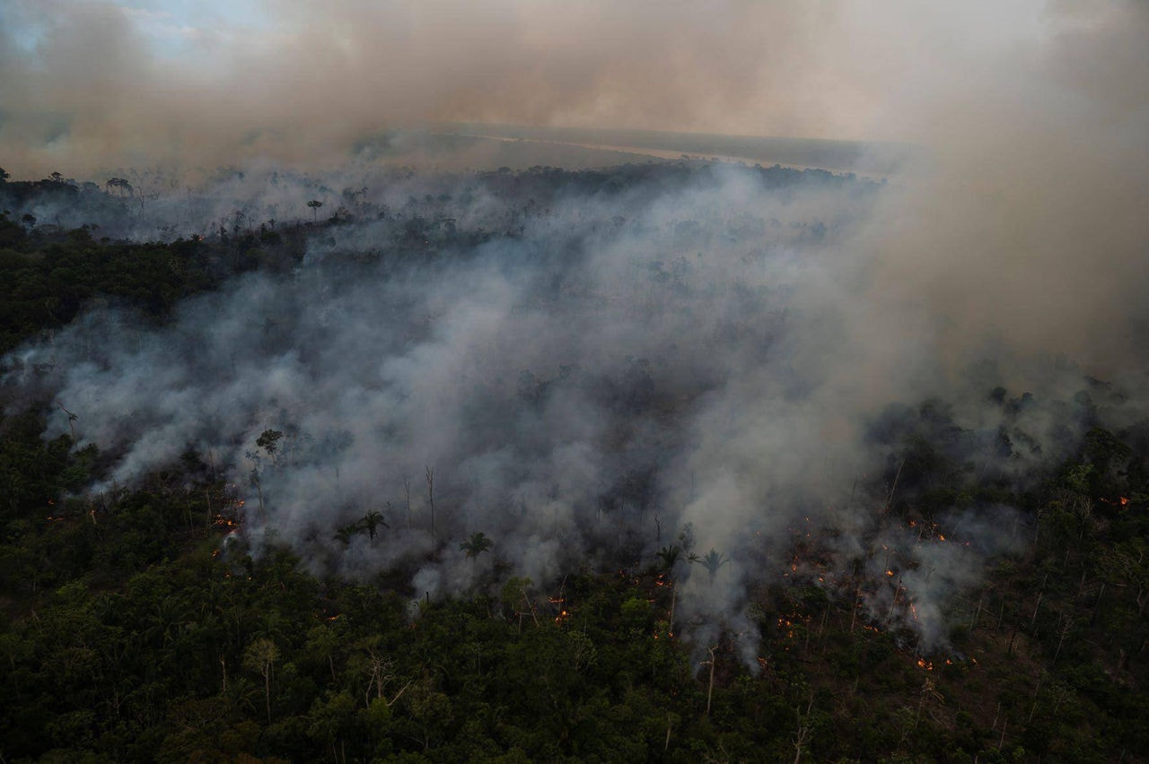 desmatamento na amazônia