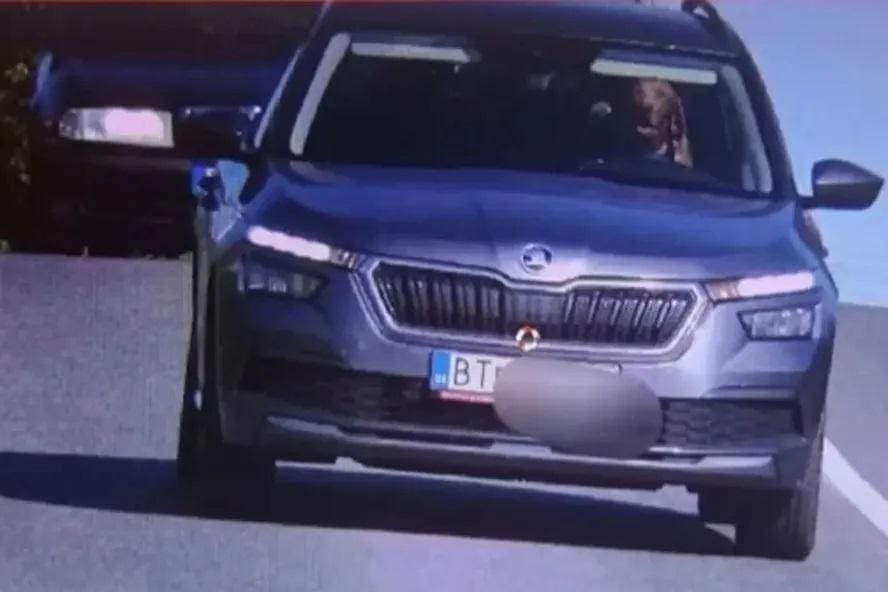 Tutor é multado após cão ser flagrado ao volante de carro, em alta velocidade