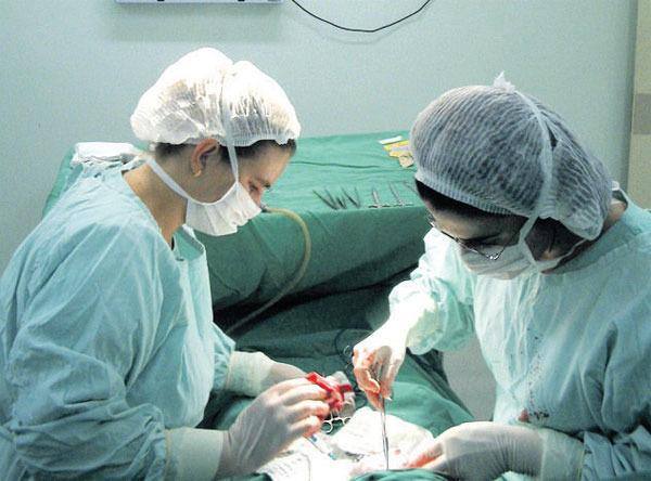 O parto por cesariana altera estruturas intestinais dos bebês