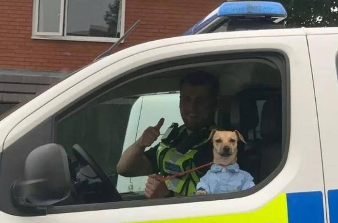 Cachorro de camisa social posando com policial na Inglaterra