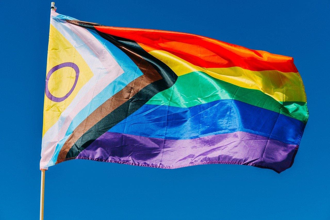 Bandeira LGBTQIA+ - bandeira LGBT - bandeira do progresso