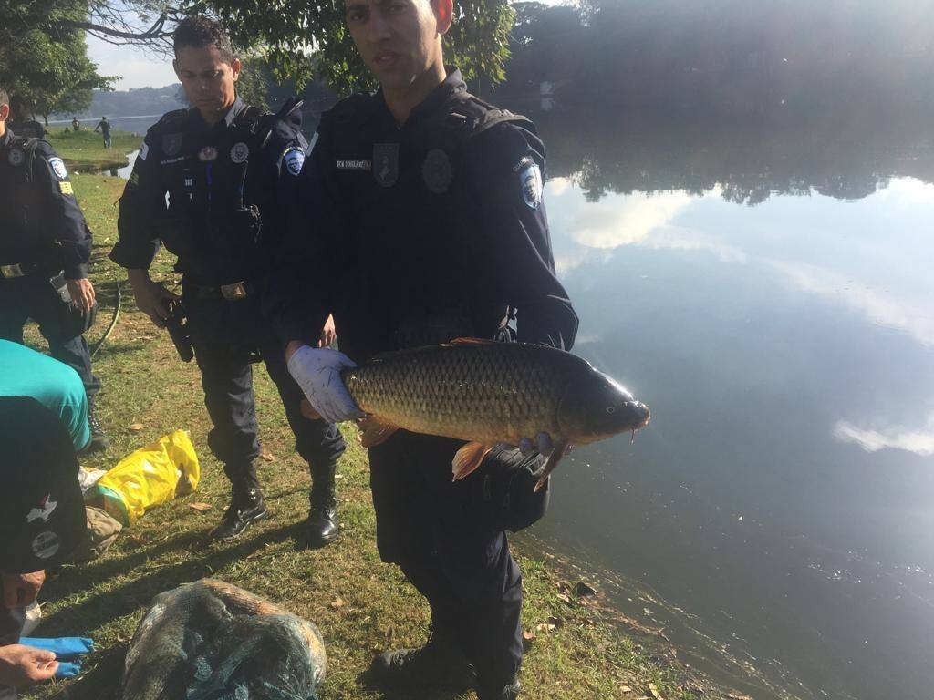 Peixe Lagoa Pampulha