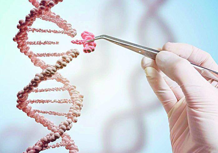 A reconstituição do DNA poderá contribuir, no futuro, para a compreensão de doenças hereditárias