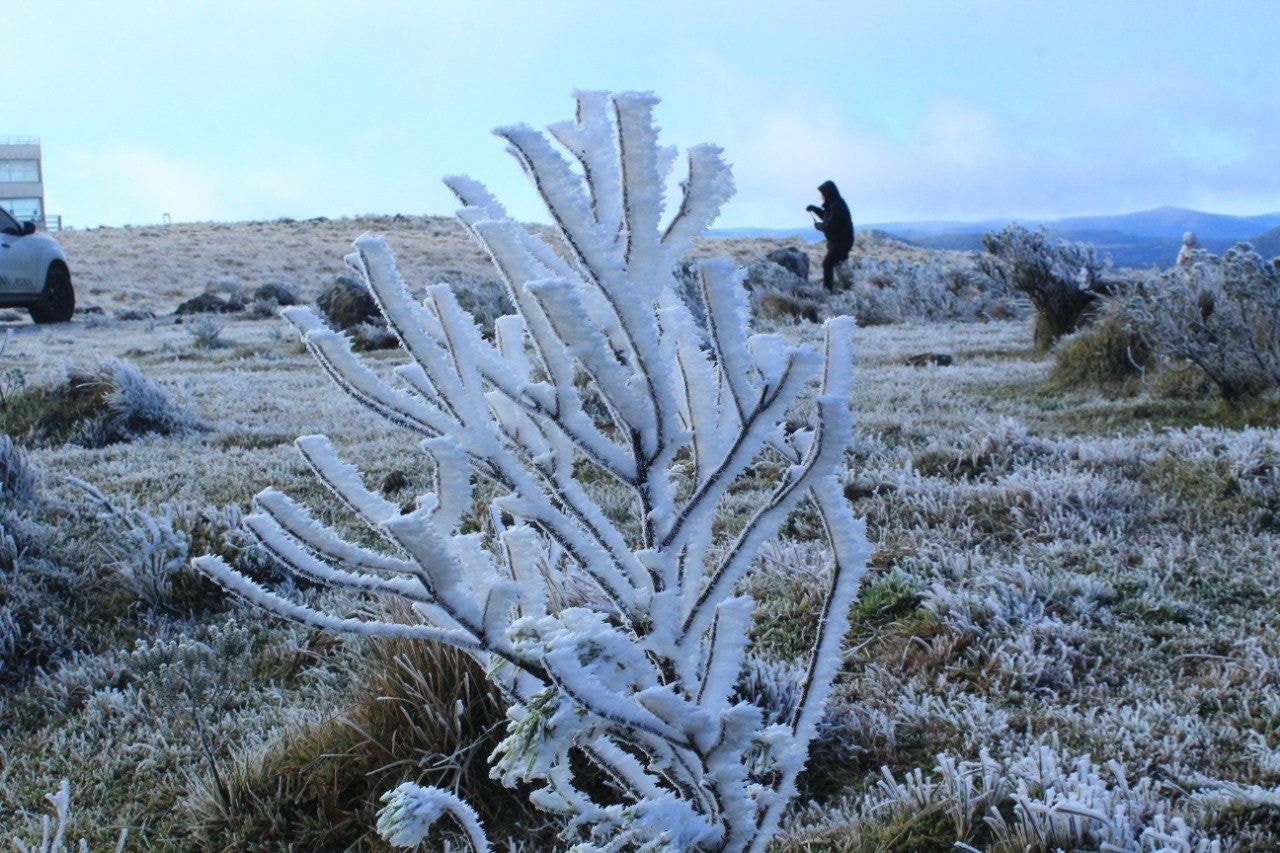 Imagem da primeira neve do ano em Urupema, em Santa Catarina