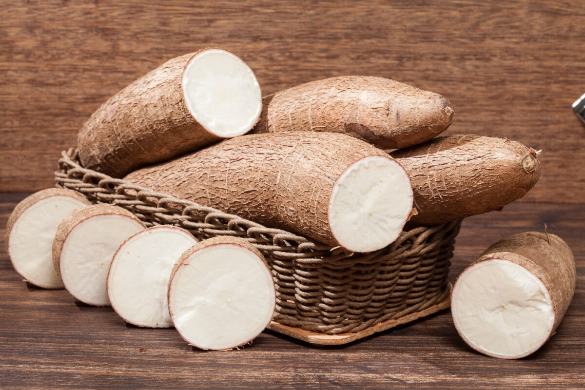 A mandioca é fonte de nutrientes importantes para a saúde