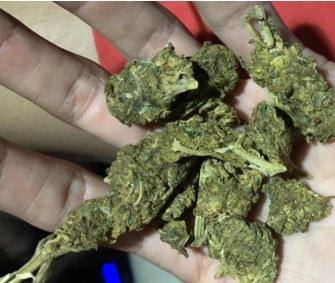 Maconha era vendida pelas redes sociais por, pelo menos, cinco perfis