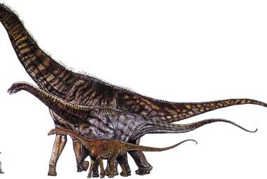 dinossauro
