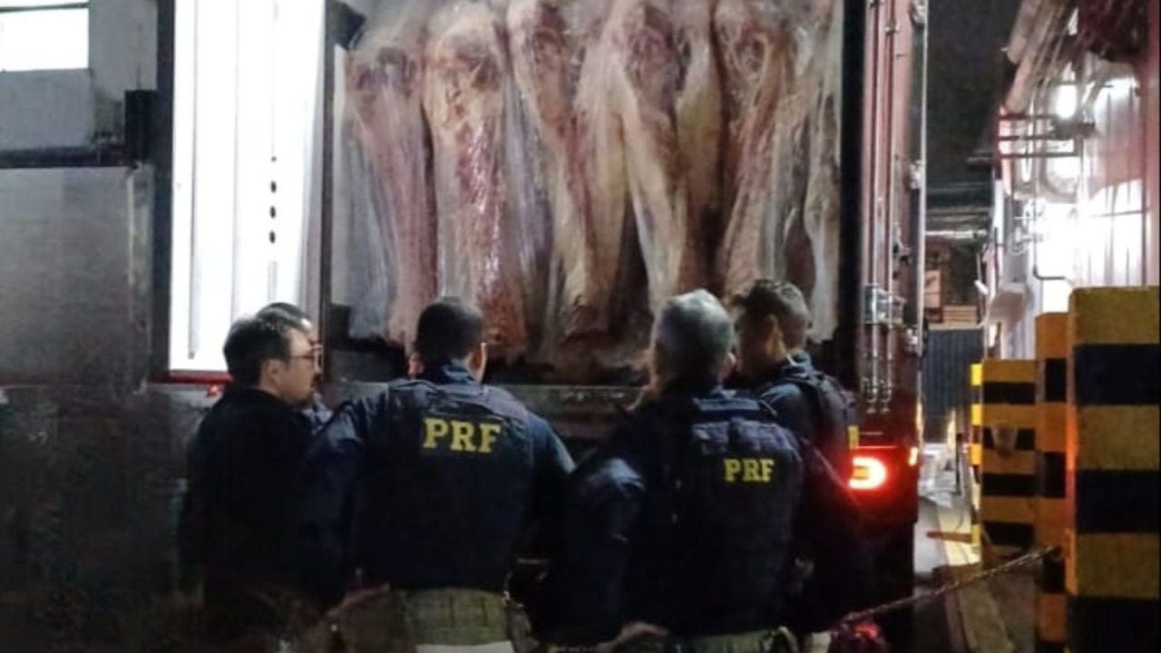 Droga foi localizada com ajuda de cães farejadores