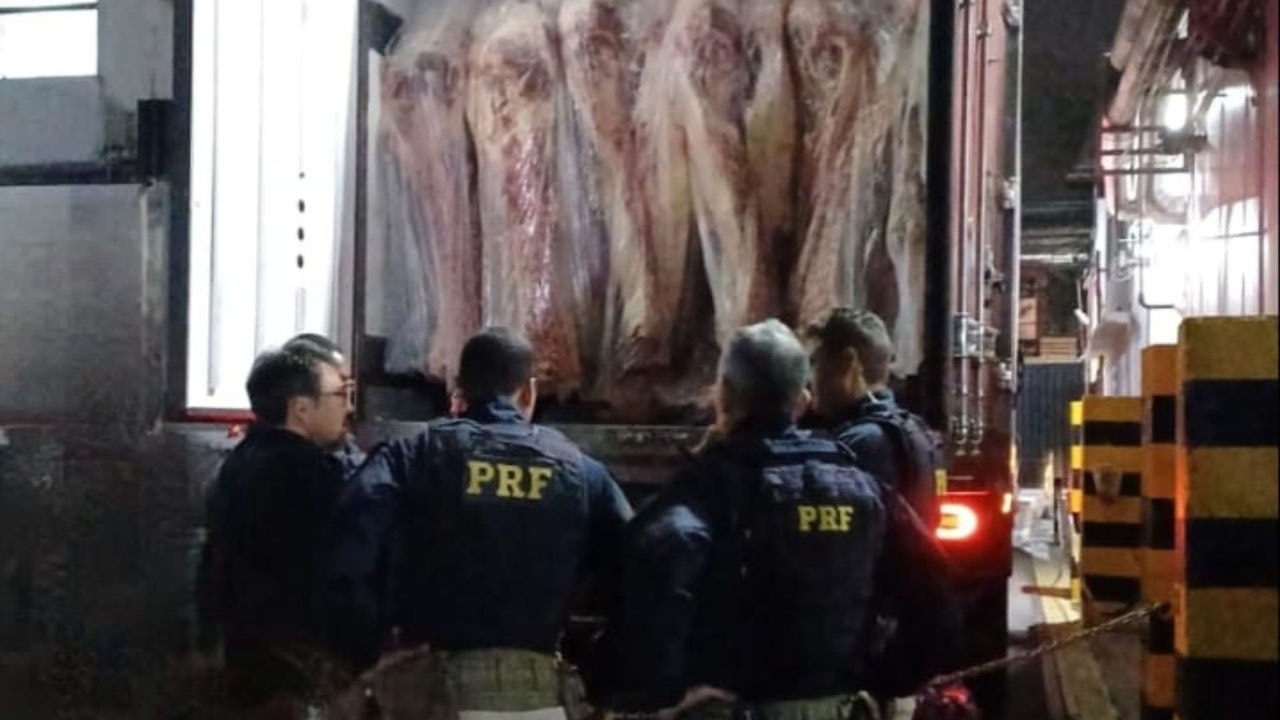 Droga foi localizada com ajuda de cães farejadores
