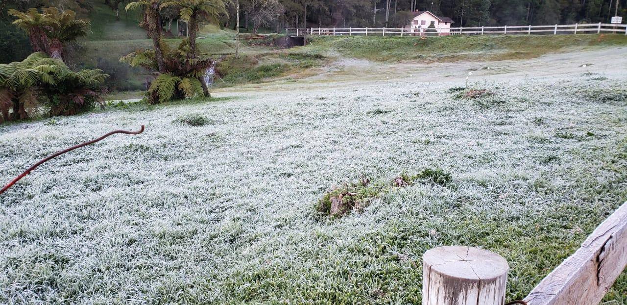 Frio