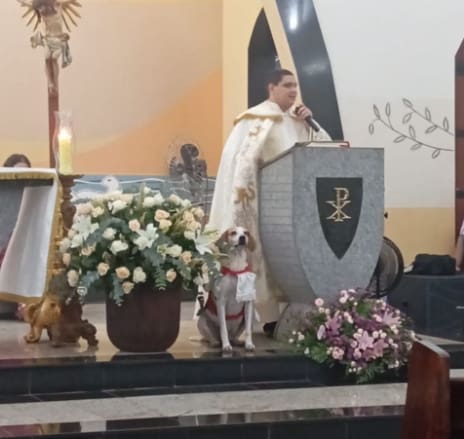 Cãozinho ganhou até uma roupa especial para as missas
