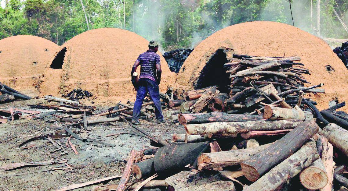 Exploração A escravidão moderna no país é encontrada em vários setores da economia, entre eles o de produção de carvão vegetal