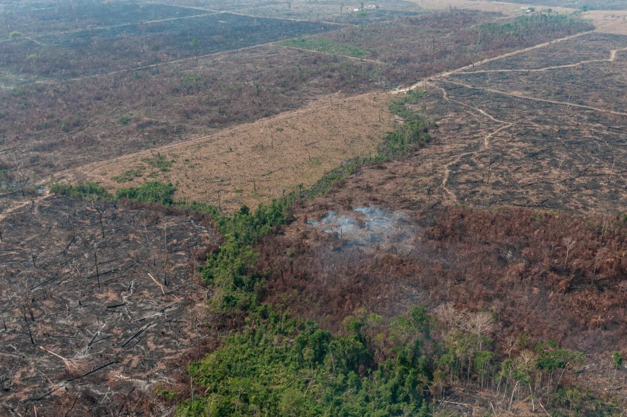 Europa vê descaso do governo brasileiro com desmatamento