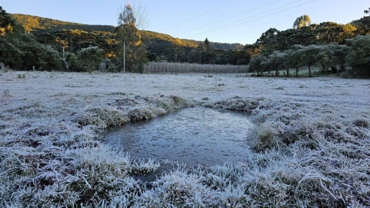 Em Bom Jardim da Serra, um lago ficou com a sua superfície congelada, com sensação térmica de -14ºC
