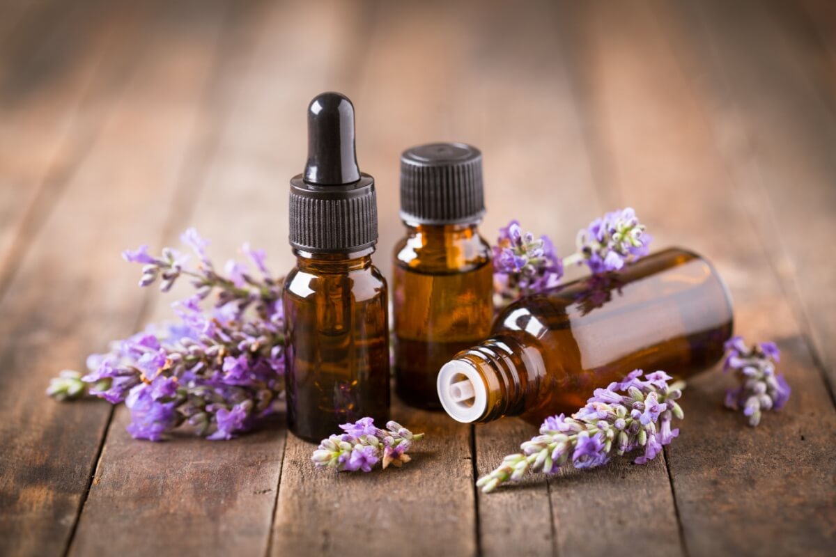 O aroma de lavanda acalma e ajuda a aliviar o estresse
