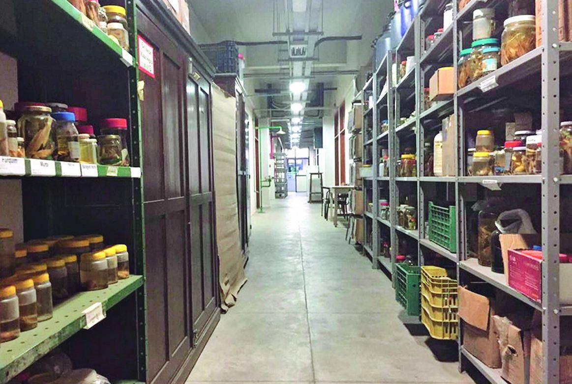 Perigo Acervo está acondicionado em álcool e próximo a materiais inflamáveis, como papelão e madeira