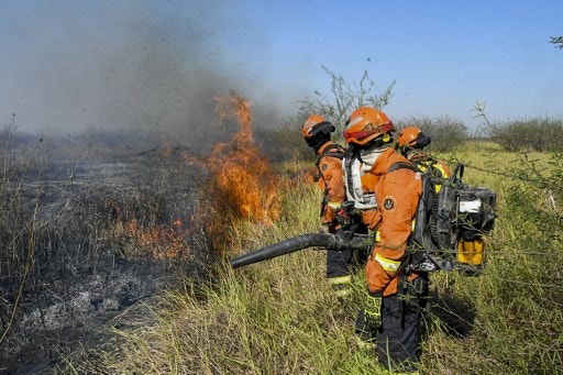 O Brasil sofre com um período de seca e queimadas