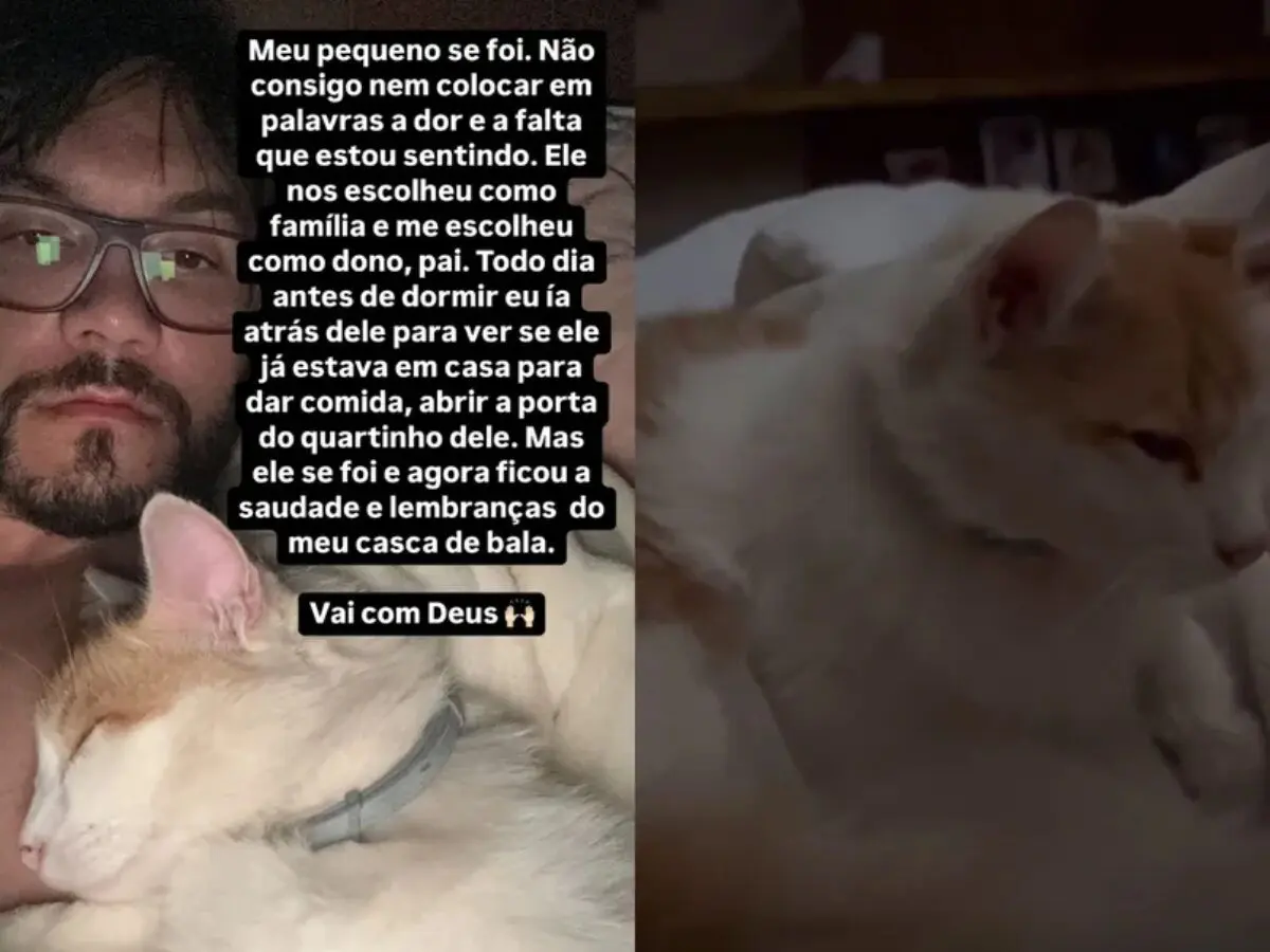 Eliezer - Reprodução/ Instagram 