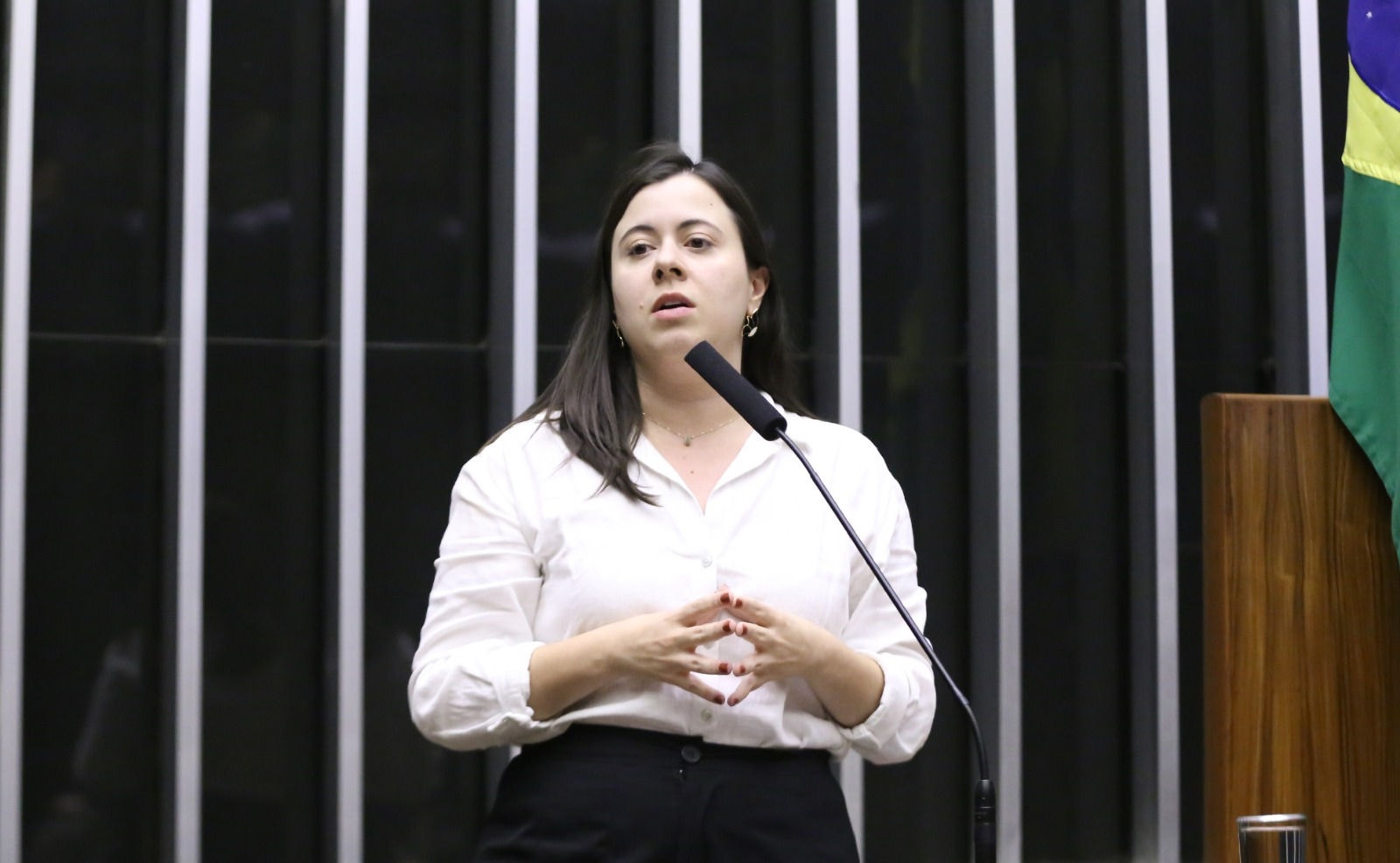 Deputada Sâmia Bomfim (PSOL-SP) apresentou um requerimento à Câmara propondo a concessão do título de cidadão honorário ao deputado italiano Angelo Bonelli