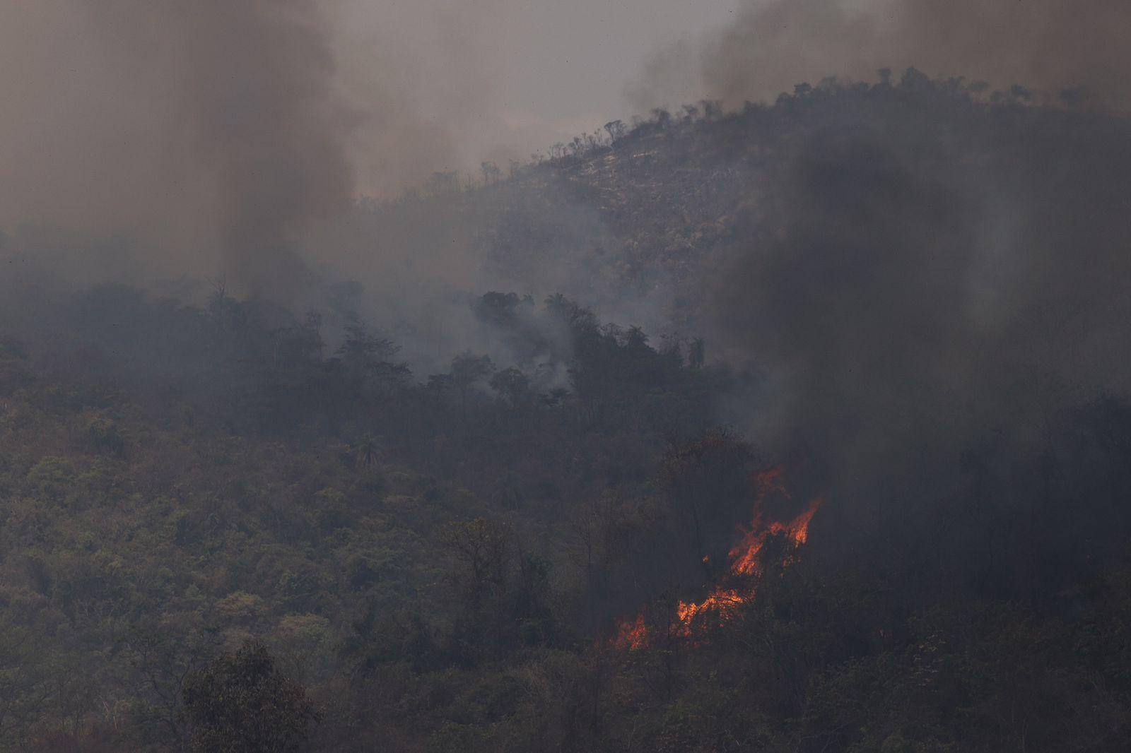 Mata em Sabará, na região metropolitana de BH, pega fogo desde às 17h de quarta-feira (16). Segundo o Corpo de Bombeiros, as chamas foram controladas, mas ainda não foram totalmente combatidas. No momento cinco veículos dos bombeiros estão na região.