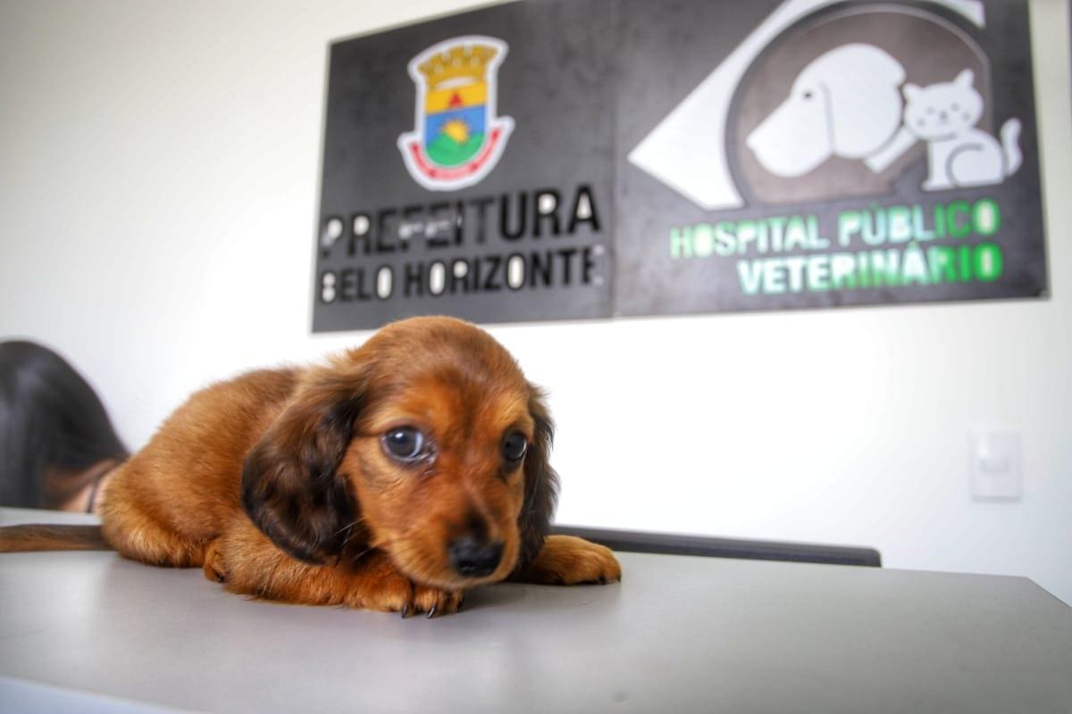 Atendimentos serão realizados no bairro Carlos Prates