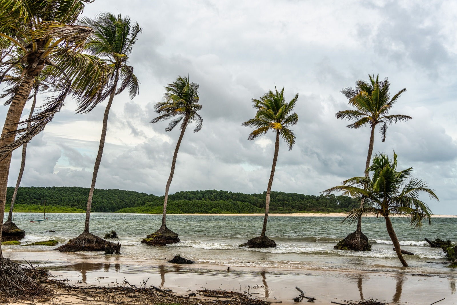 A praia do Caju-una fica na comunidade do homônima e destaca-se pela grande quantidade de coqueiros espalhados pela areia