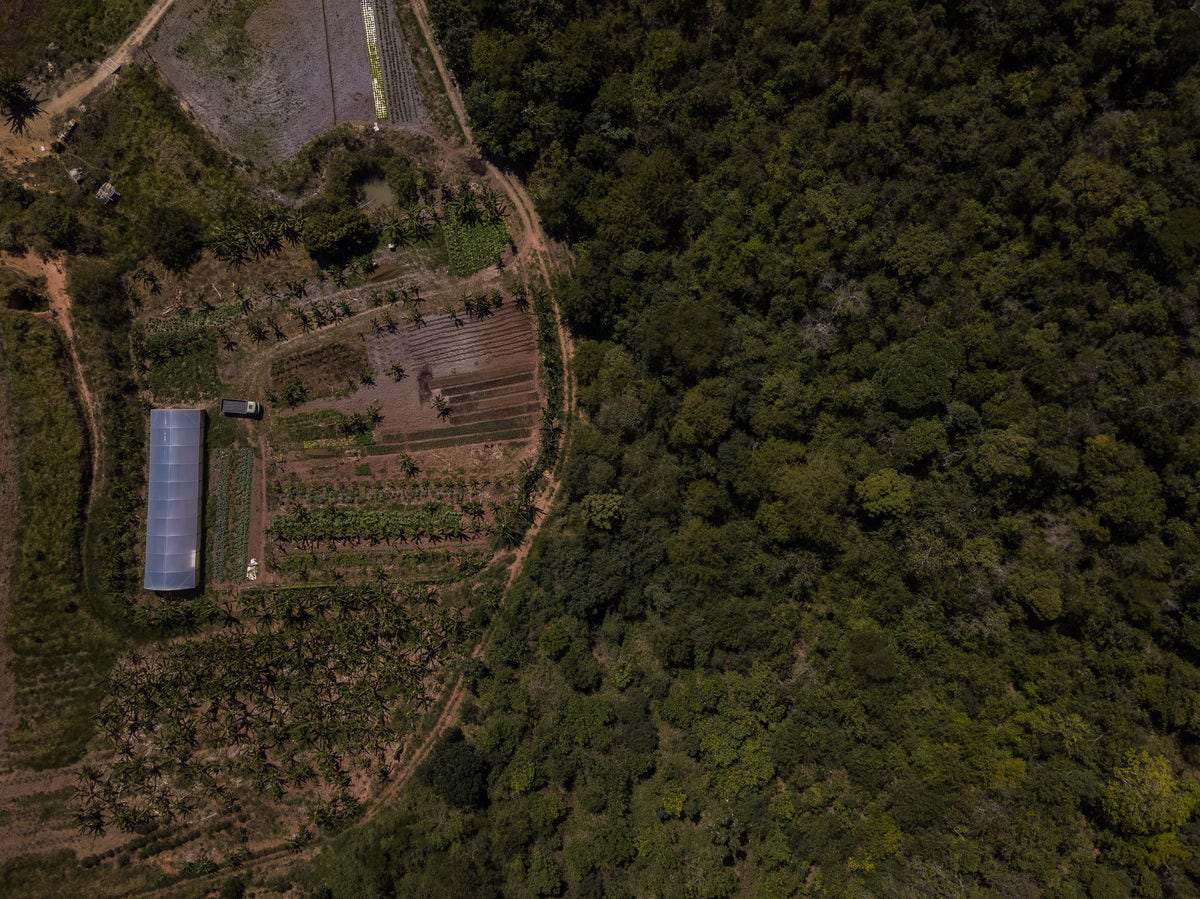 Programa criado pelo IEF, que une regularização ambiental e apoio ao produtor rural, nasceu em Teófilo Otoni e, hoje, atua em todas as regiões do estado