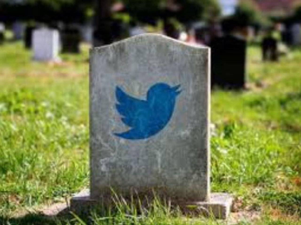 Imagem mostra o símbolo do Twitter em uma lápide