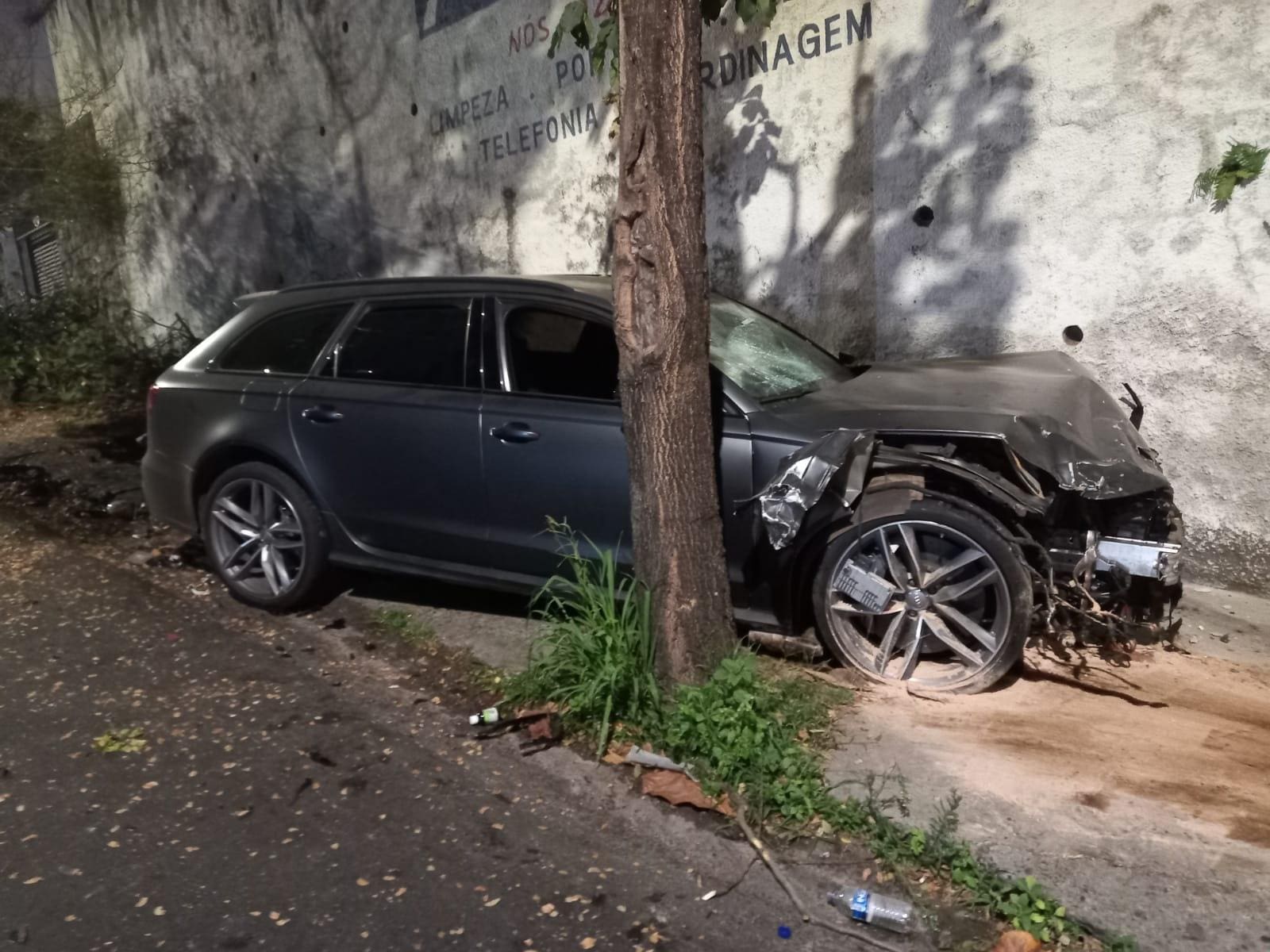Motorista do Audi só parou após bater em uma árvore