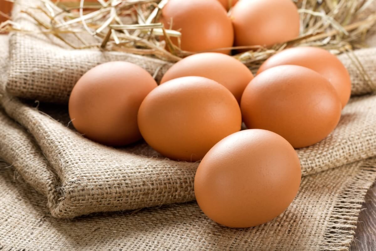 Alguns alimentos podem substituir o ovo na dieta e são igualmente ricos em nutrientes