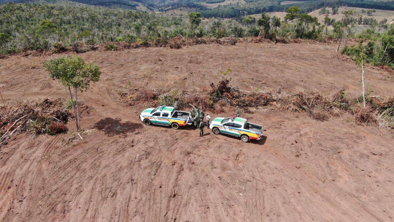 Operação Mata Atlântica em Pé