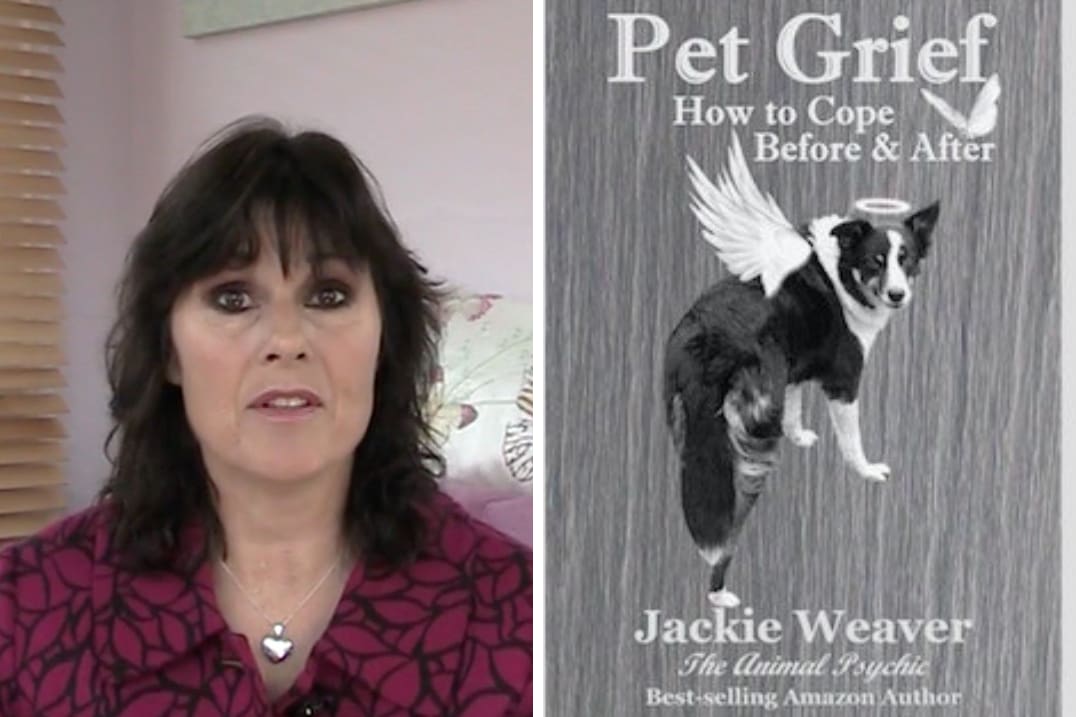 Jackie Weaver a médium de animais tutor pet