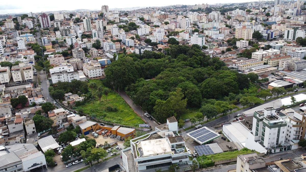 Área é quase um "oásis" em meio à região mais populosa de Belo Horizonte