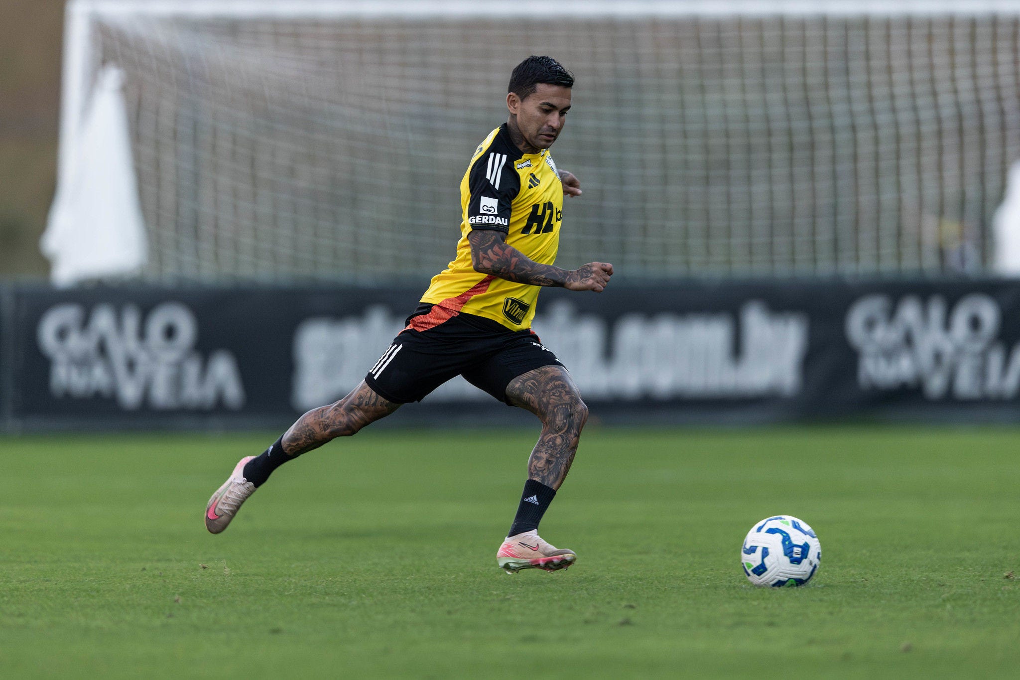 Dudu chegou ao Galo após deixar a Raposa