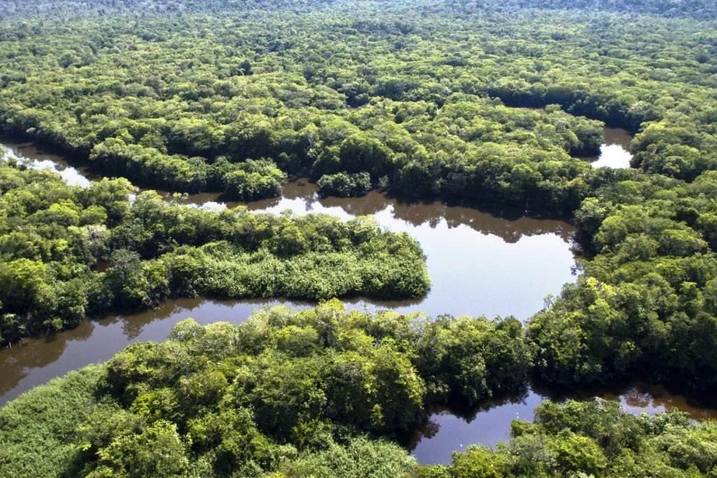 Amazônia é considerada fundamental para manutenção do clima em todo o planeta