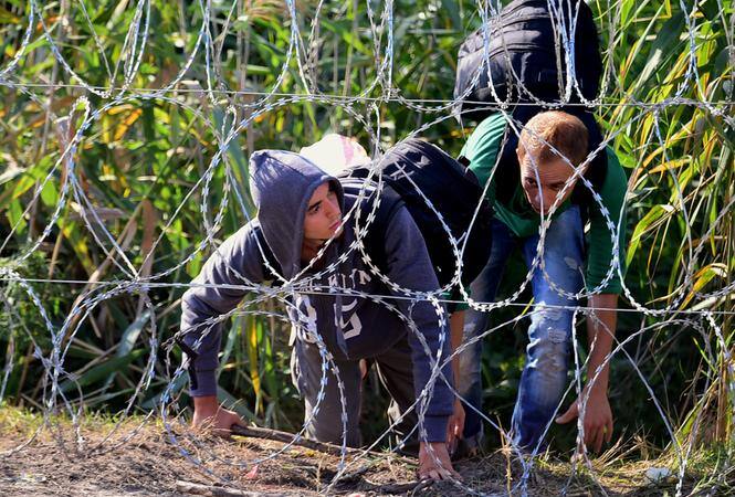 Migrantes atravessam fronteira debaixo de cerca de arame farpado entre a Hungria e a Sérvia