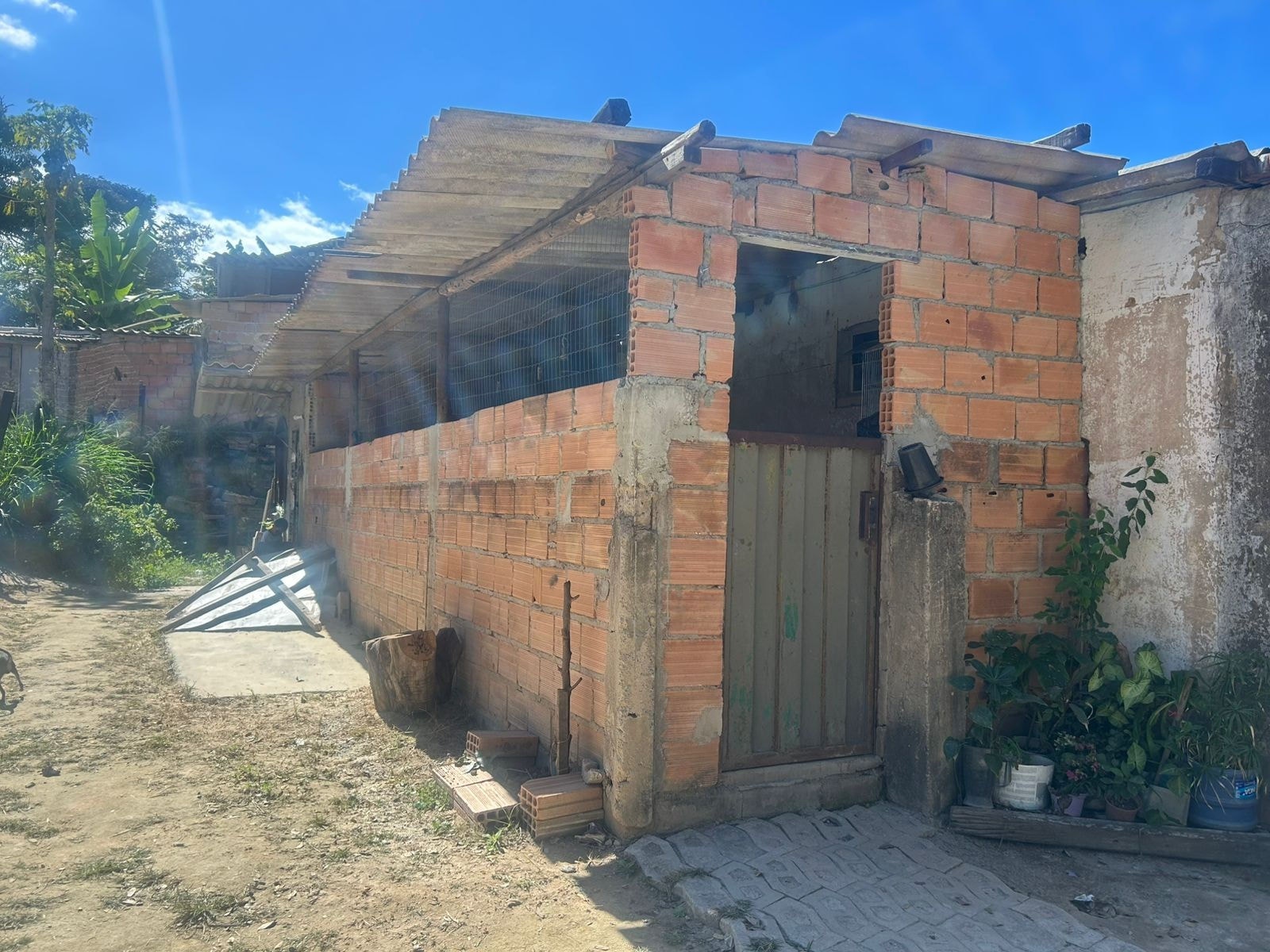 Mulher de 60 anos foi encontrada morta debaixo da cama da casa onde vivia com o suspeito