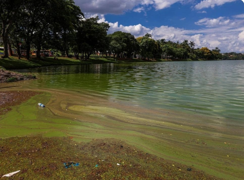 Contratos visavam o desassoreamento da lagoa da Pampulha, que sofre impacto do derramamento de esgoto 