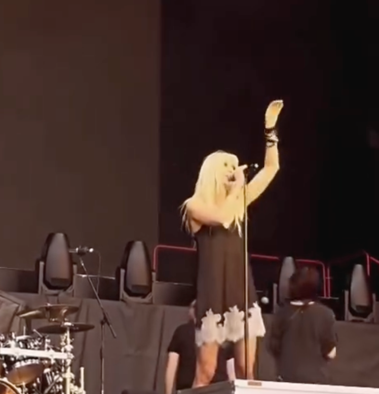 Taylor Momsem é mordida por morcego durante apresentação