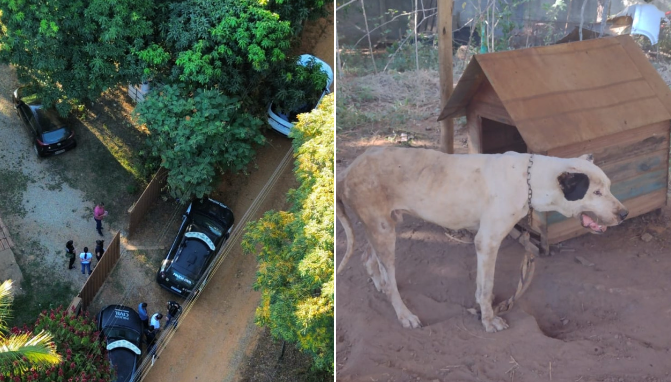 Canil em Sete Lagoas foi alvo de mandado de busca e apreensão da Polícia Civil 