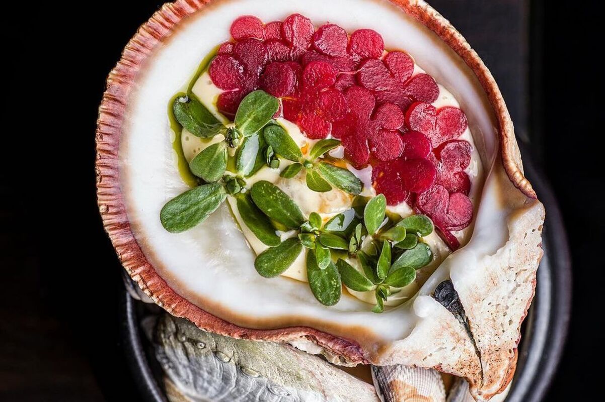 Vieiras com caldo de jamón, óleo de shitakes e picles, um dos pratos do restaurante Humo Negro