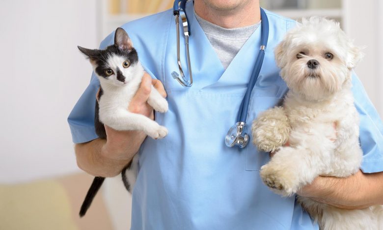 Reforma tributária reduz alíquotas de planos para Pets