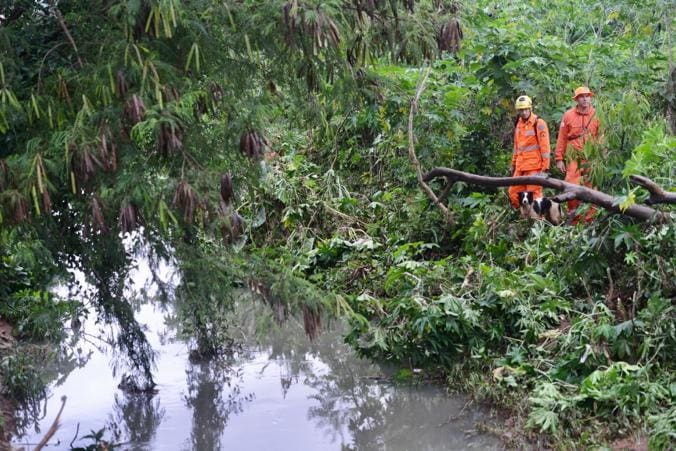 bombeiros sete lagoas
