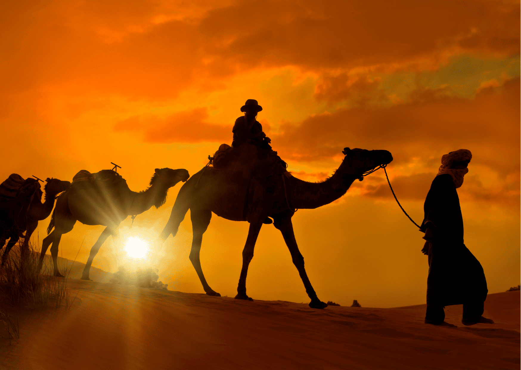 O turista pode fazer passeio de camelo no deserto do Saara